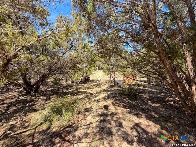 1660 Westview Court Court, Canyon Lake, TX 78133