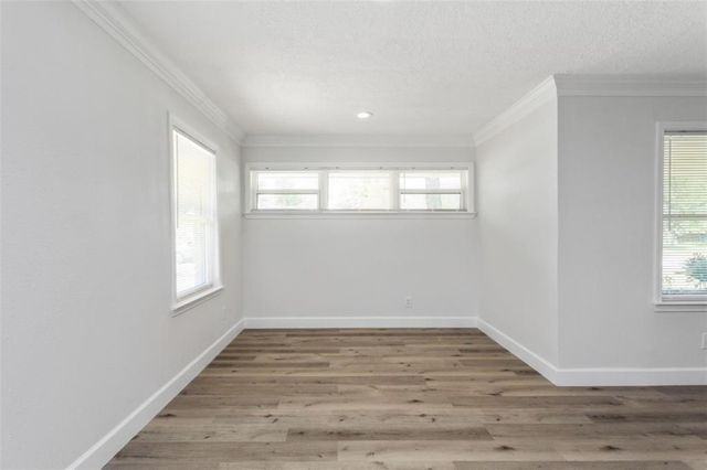 10825 Willowisp Drive, Houston, TX 77035