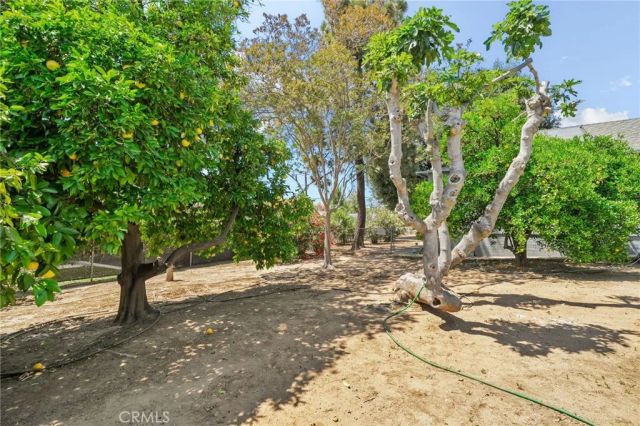 35209 Avenue E, Yucaipa, CA 92399