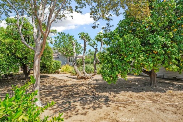 35209 Avenue E, Yucaipa, CA 92399