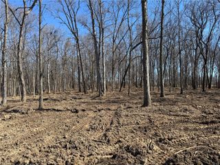 3004 Scott Road, Moscow Mills, MO 63362