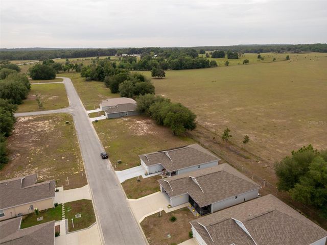 10541 S DREW BRYANT CIRCLE, Floral City, FL 34436