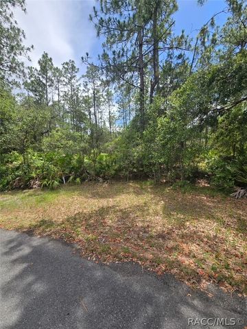 28 Mangrove Court S, Homosassa, FL 34446