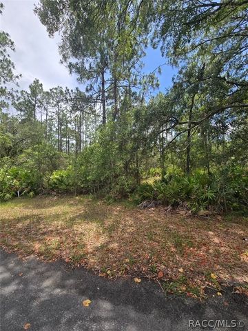 28 Mangrove Court S, Homosassa, FL 34446