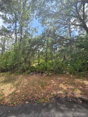28 Mangrove Court S, Homosassa, FL 34446