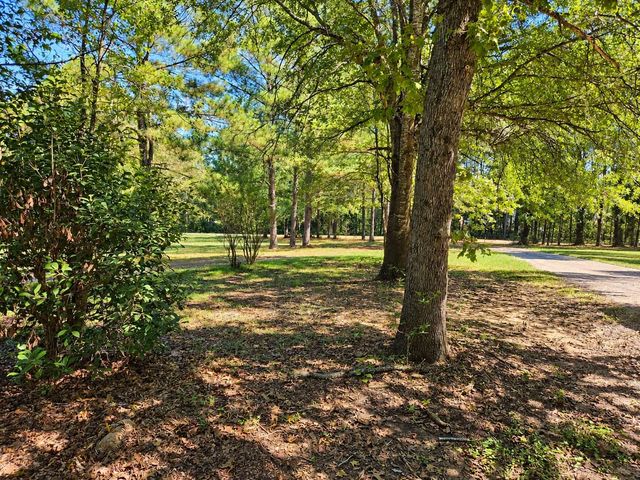 14619 Gingham Road S, Montgomery, TX 77356