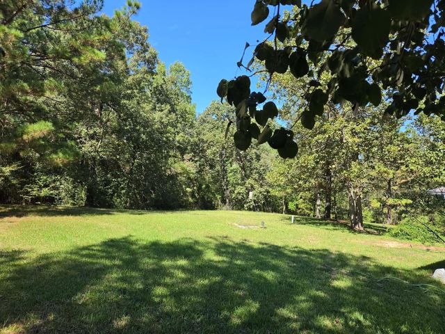 14619 Gingham Road S, Montgomery, TX 77356