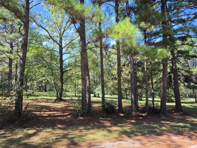 14619 Gingham Road S, Montgomery, TX 77356