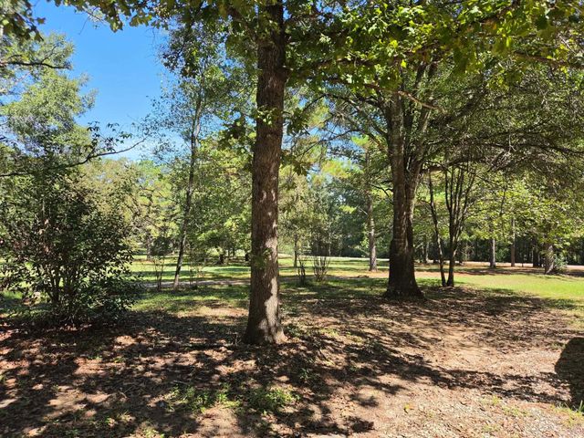 14619 Gingham Road S, Montgomery, TX 77356