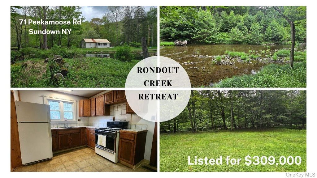 71 Peekamoose Road, Sundown, NY 12740