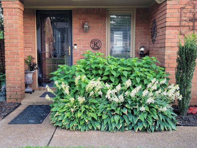 3161 BELSFIELD CV, Memphis, TN 38119