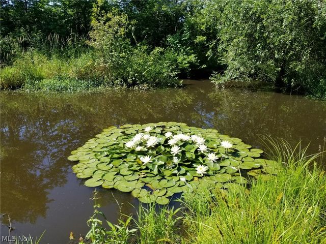 44565 Stang Road, Elyria, OH 44035