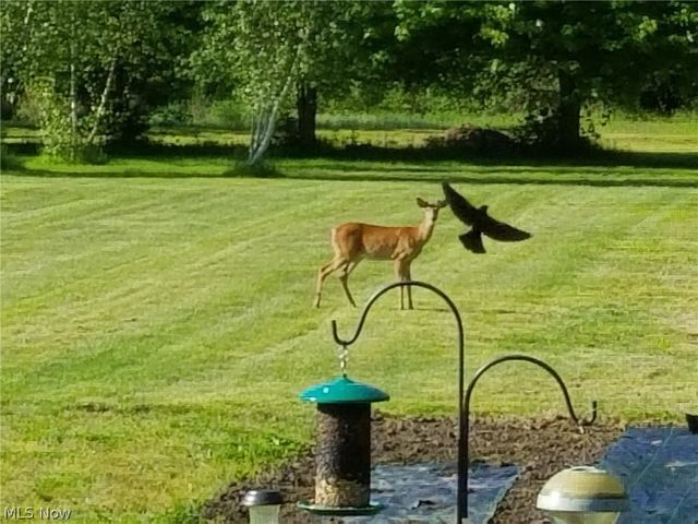 44565 Stang Road, Elyria, OH 44035