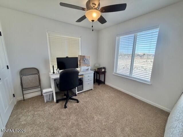 1135 Jungle Drive, Fallon, NV 89406