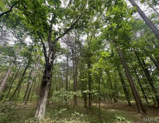 000 Madison Road, Farmington, MO 63640