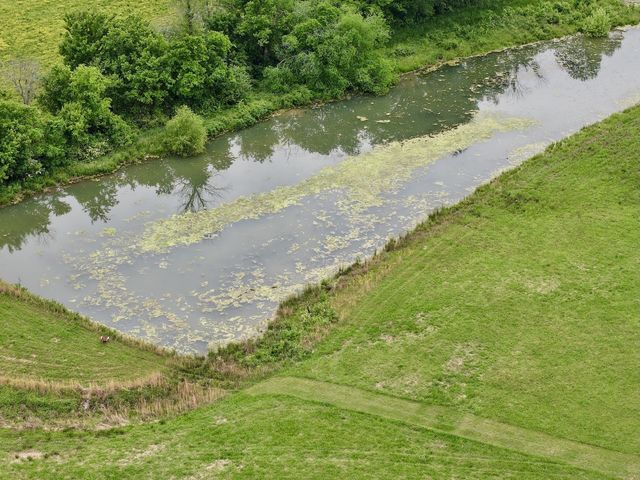 6907 Short Mountain Rd, Woodbury, TN 37190