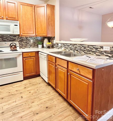 11264 Hyde Pointe Court, Charlotte, NC 28262