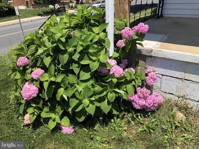 340 E MAIN ST, Kutztown, PA 19530