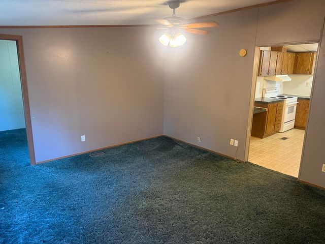 145 Tyler Street, Thayer, MO 65791