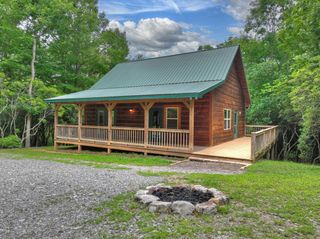 295 Ross Drive, Mineral Bluff, GA 30559