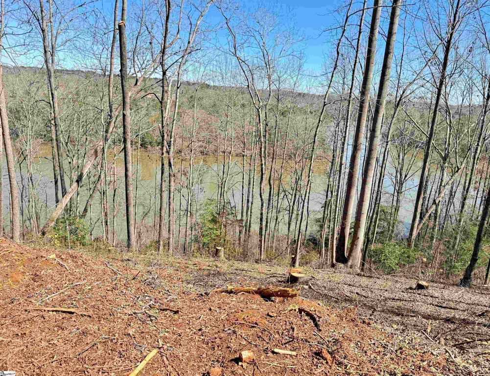 712 Buck Creek Road, Chesnee, SC 29323