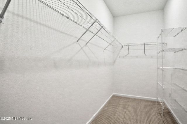 2230 PALISADE Point, Middleburg, FL 32068