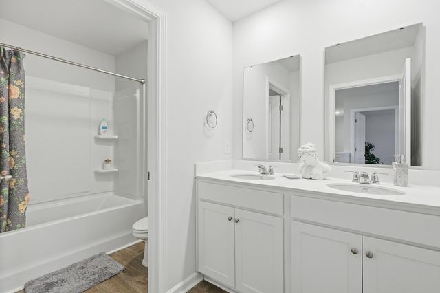315 Black Birch Drive, Summerville, SC 29486