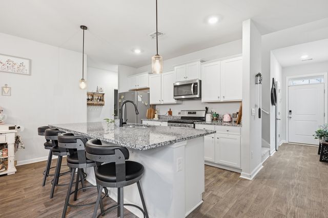 315 Black Birch Drive, Summerville, SC 29486