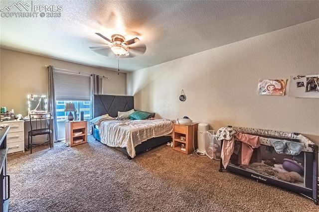 3054 Harpy Grove, Colorado Springs, CO 80916