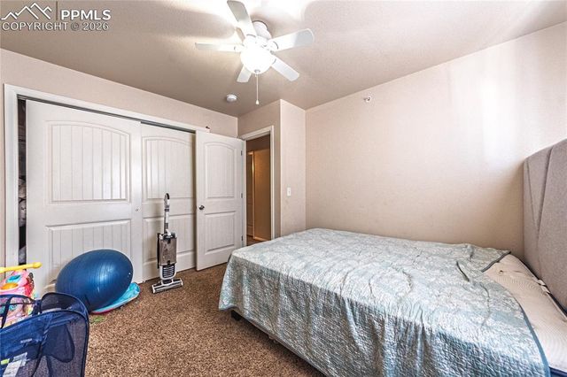 3054 Harpy Grove, Colorado Springs, CO 80916