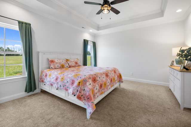 1314 Halls Mill Rd, Unionville, TN 37180