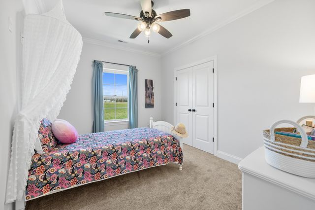 1314 Halls Mill Rd, Unionville, TN 37180