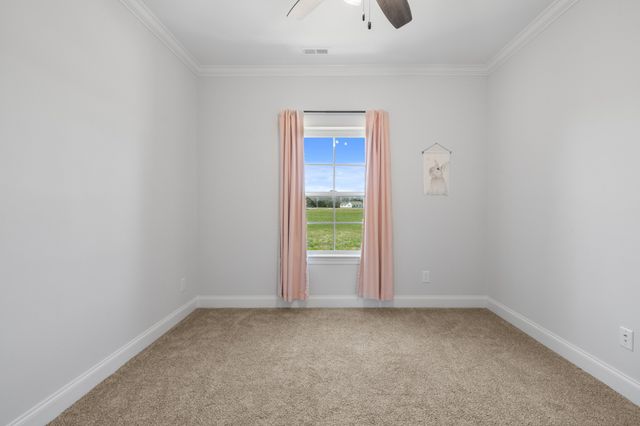 1314 Halls Mill Rd, Unionville, TN 37180