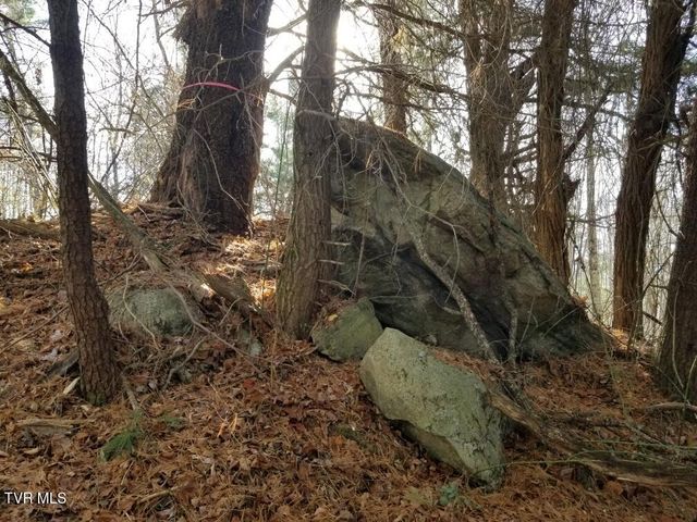 Tbd Bear Branch Road, Roan Mountain, TN 37687