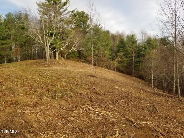 Tbd Bear Branch Road, Roan Mountain, TN 37687