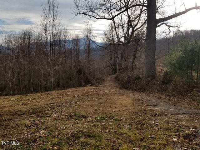 Tbd Bear Branch Road, Roan Mountain, TN 37687