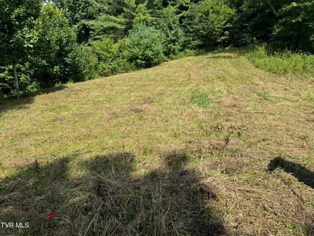 Tbd Bear Branch Road, Roan Mountain, TN 37687
