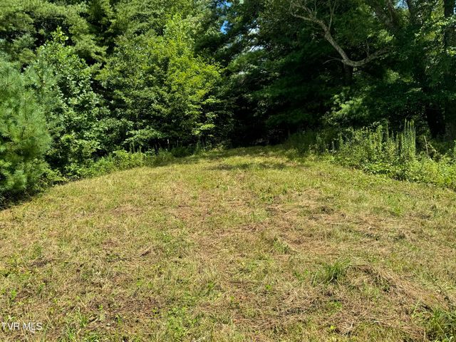 Tbd Bear Branch Road, Roan Mountain, TN 37687