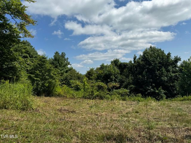 Tbd Bear Branch Road, Roan Mountain, TN 37687