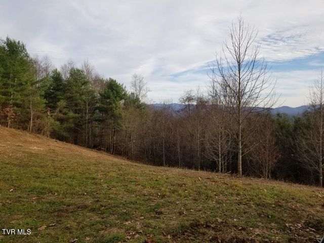 Tbd Bear Branch Road, Roan Mountain, TN 37687