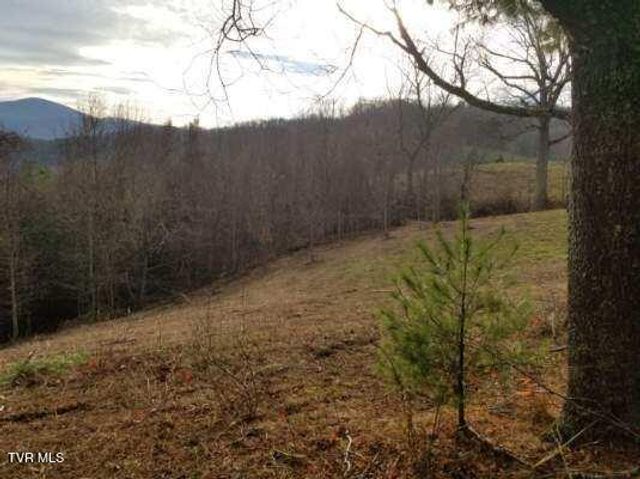 Tbd Bear Branch Road, Roan Mountain, TN 37687