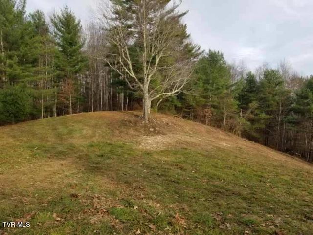 Tbd Bear Branch Road, Roan Mountain, TN 37687