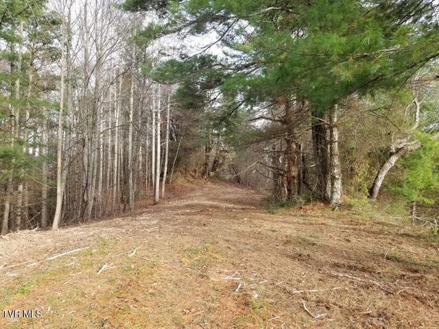 Tbd Bear Branch Road, Roan Mountain, TN 37687