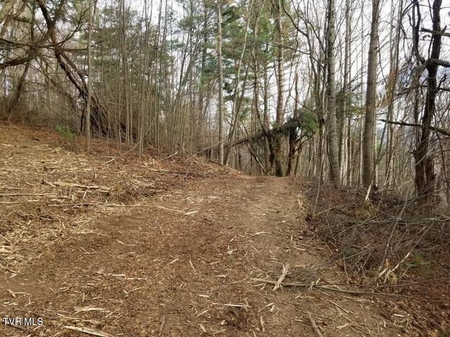 Tbd Bear Branch Road, Roan Mountain, TN 37687
