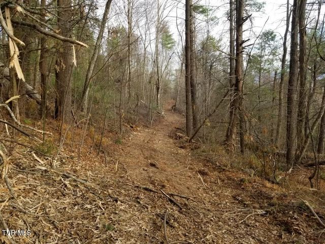 Tbd Bear Branch Road, Roan Mountain, TN 37687