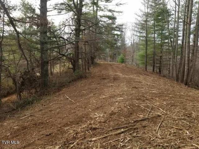 Tbd Bear Branch Road, Roan Mountain, TN 37687
