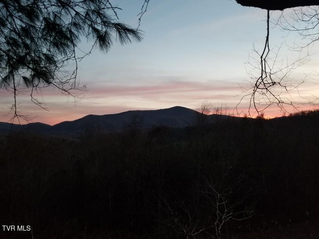 Tbd Bear Branch Road, Roan Mountain, TN 37687
