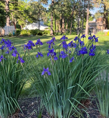 217 E Owasso Lane, Shoreview, MN 55126