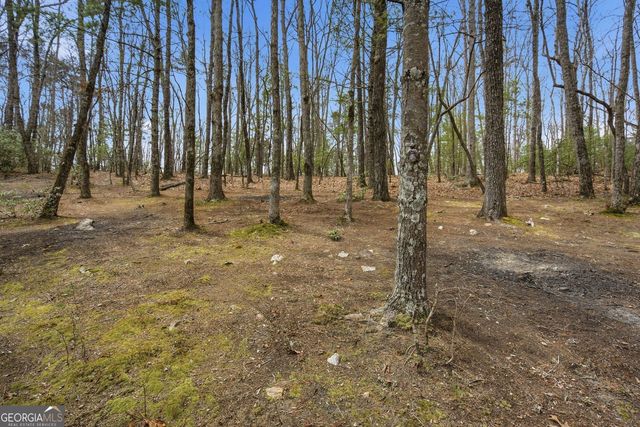 1399 Old Parker Place Road, Ellijay, GA 30536