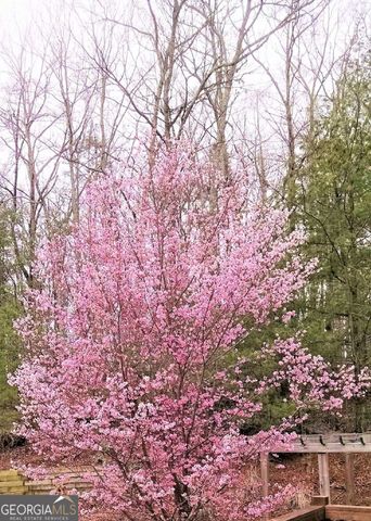 1399 Old Parker Place Road, Ellijay, GA 30536